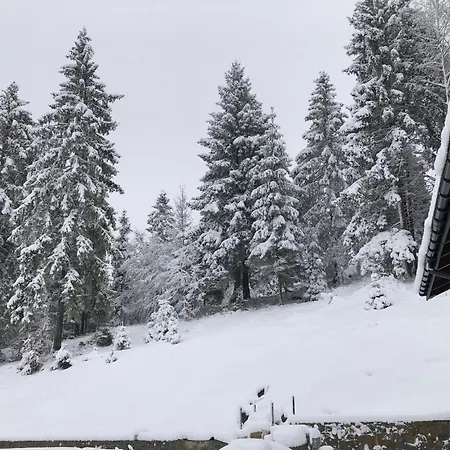 Шале Panorama Славское