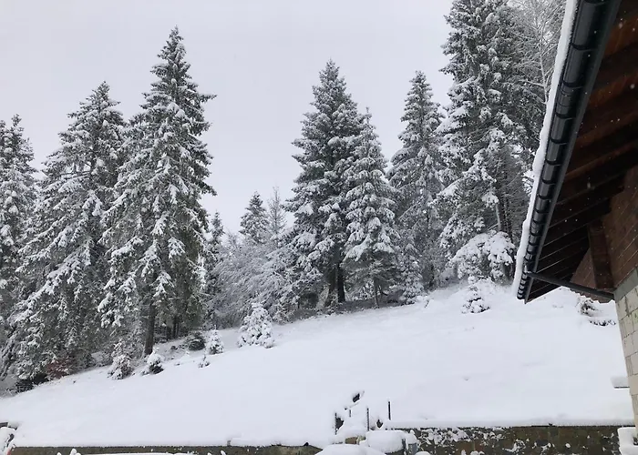 شاليه Panorama سلافسكي