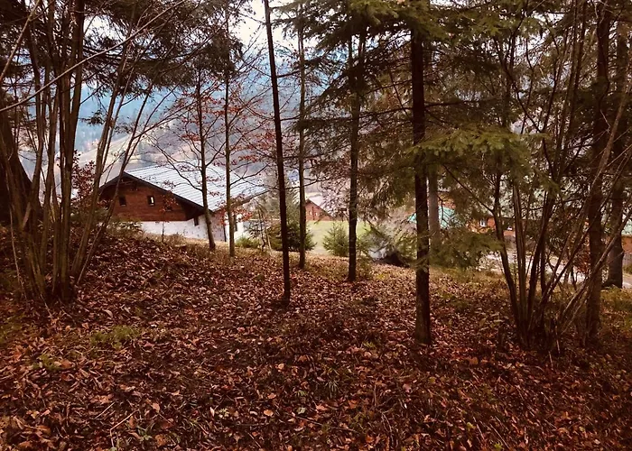 Panorama * Славское