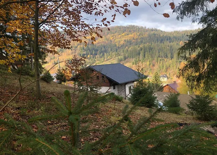 Шале Panorama Славское