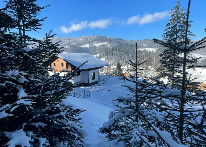 Panorama *